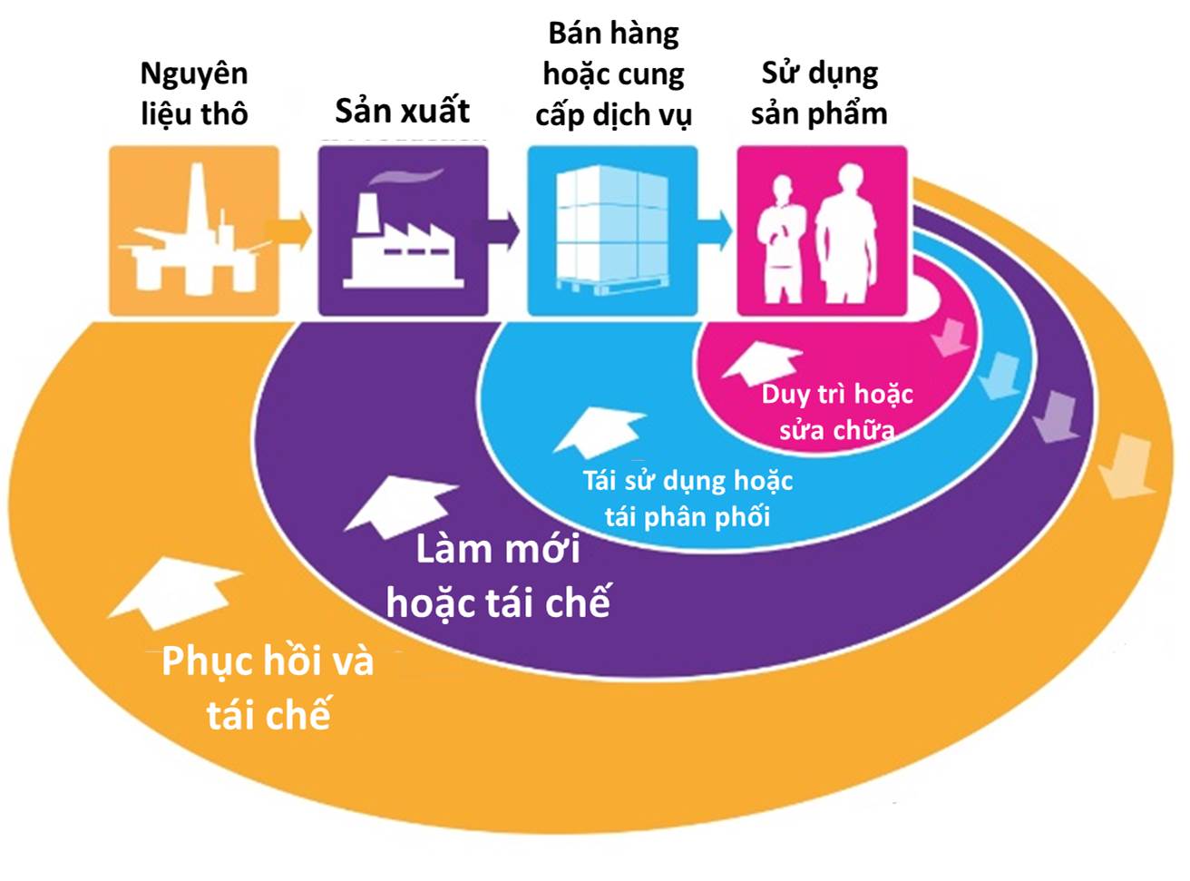 Biến rác thải thành gia tài: Cơ hội nào cho chúng ta trong nền kinh tế tuần hoàn?