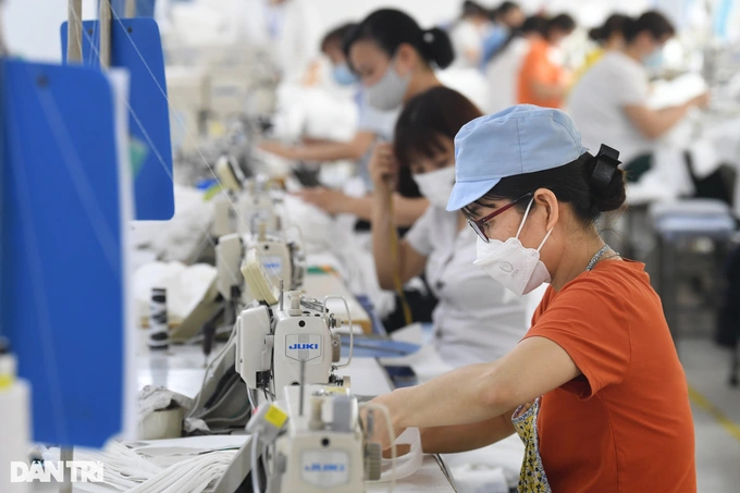 Thuế đối ứng 46% từ Mỹ: Các phản ứng của doanh nghiệp Việt Nam