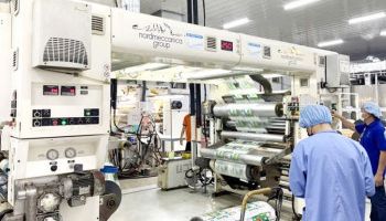 Xanh hóa ngành giấy để đạt “kỳ tích” xuất khẩu