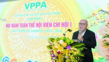 Xu hướng phát triển bền vững của các doanh nghiệp ngành giấy